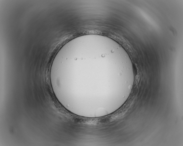X0000113150306200909040937