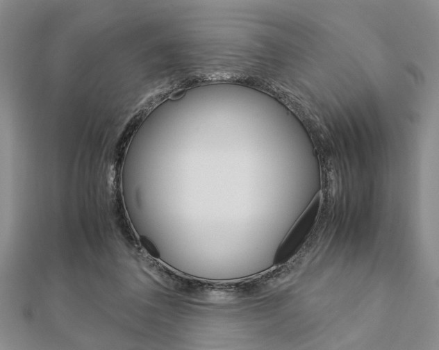 X0000113150308200909040937