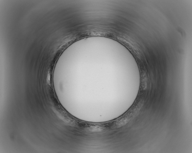 X0000113150310200909040937