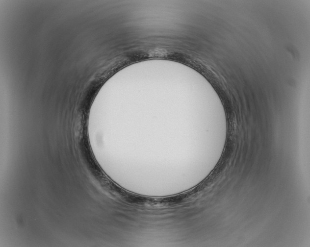 X0000113150311200909040937