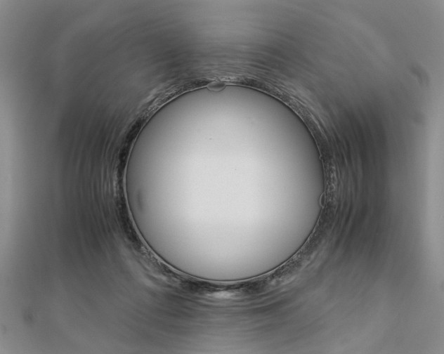 X0000113150312200909040937
