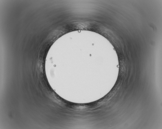 X0000113150313200909040937