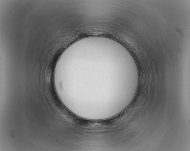 X0000113150315200909040937