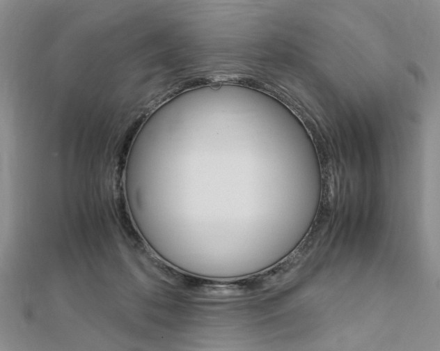 X0000113150316200909040937