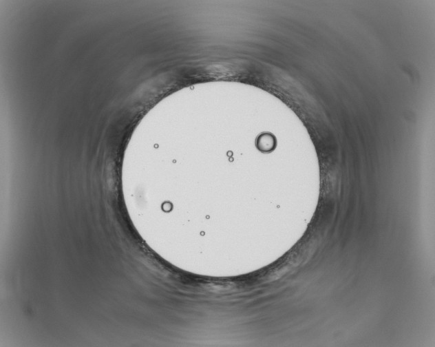 X0000113150317200909040937