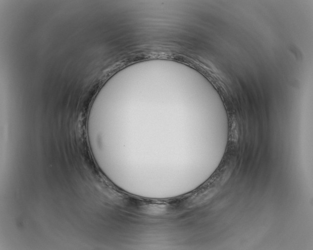 X0000113150318200909040937
