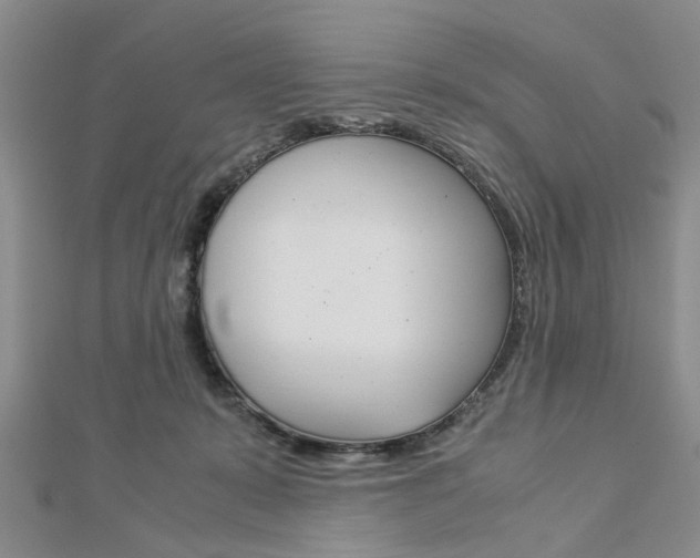 X0000113150319200909040937