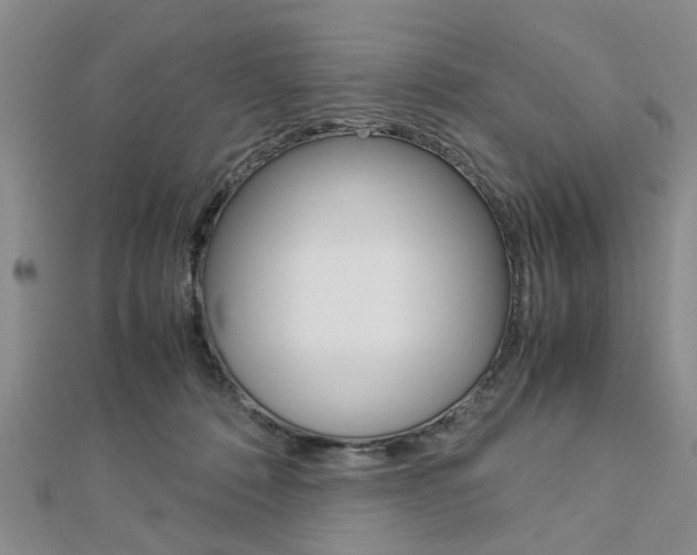 X0000113150320200909040937