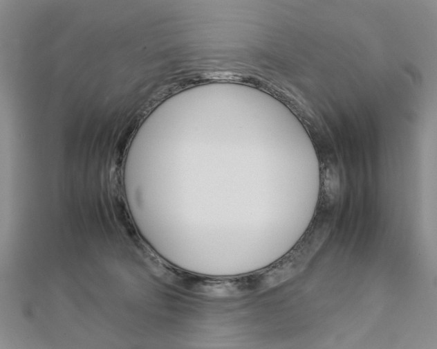 X0000113150322200909040937