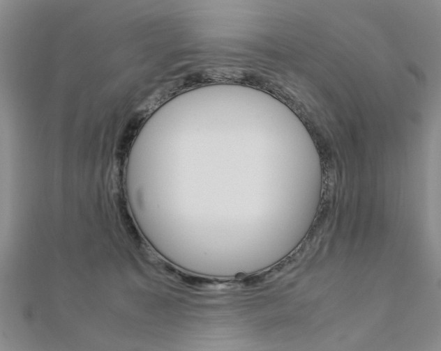 X0000113150323200909040937