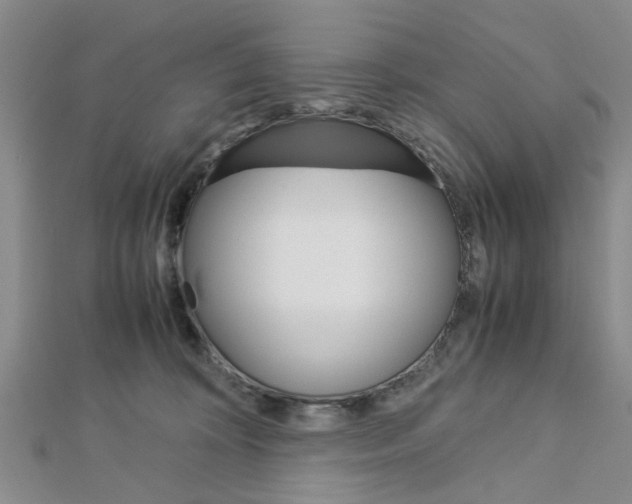 X0000113150324200909040937