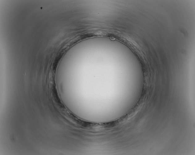 X0000113150325200909040937