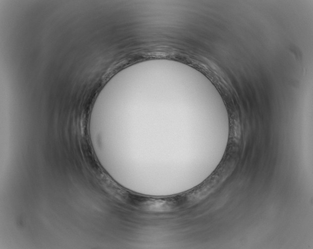 X0000113150326200909040937