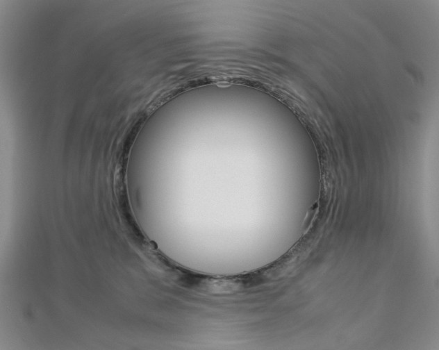 X0000113150327200909040937