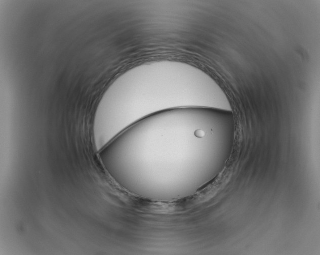 X0000113150328200909040937