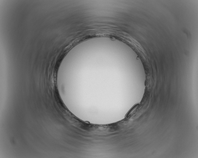 X0000113150329200909040937