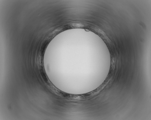 X0000113150330200909040937