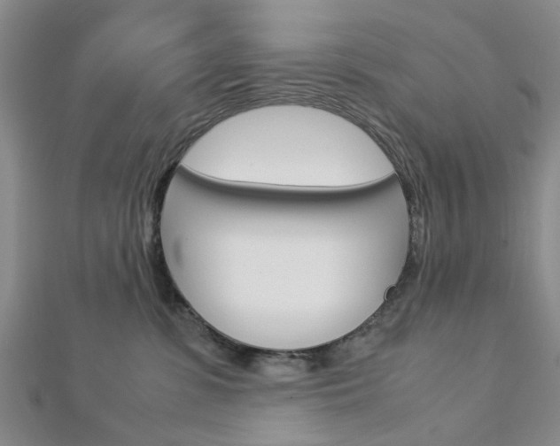 X0000113150331200909040937