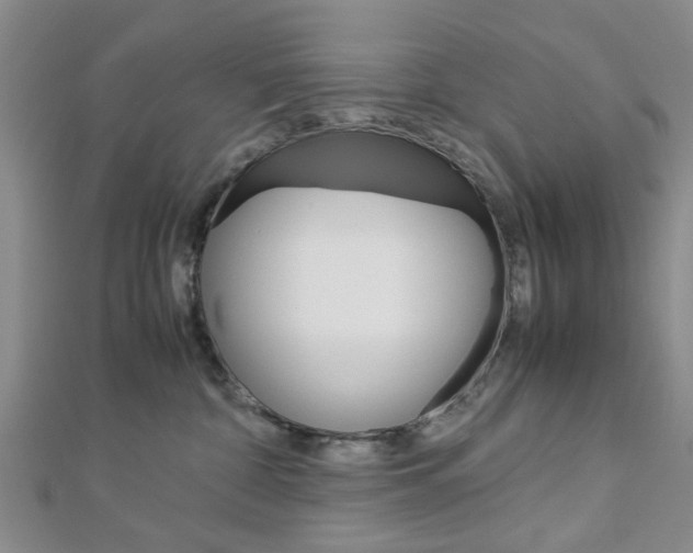 X0000113150332200909040937