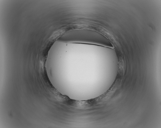 X0000113150333200909040937