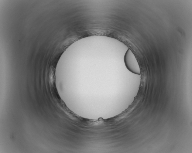 X0000113150334200909040937