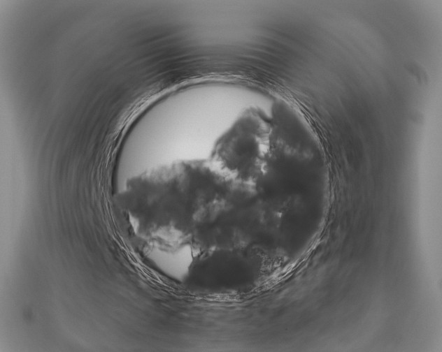 X0000113150337200909040936