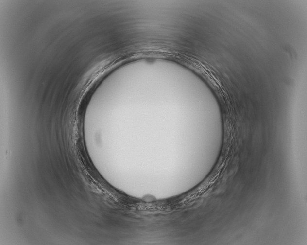 X0000113150338200909040936