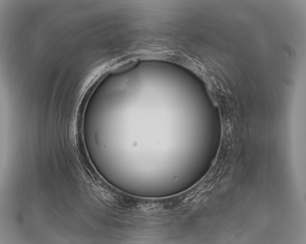 X0000113150340200909040936