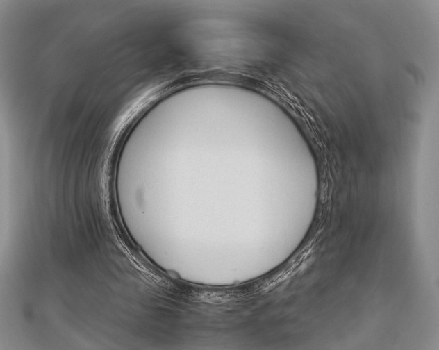 X0000113150341200909040936