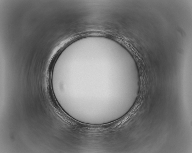 X0000113150342200909040936