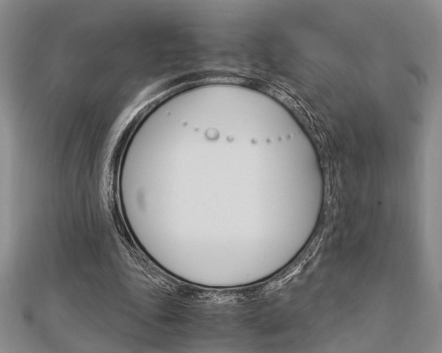 X0000113150343200909040936