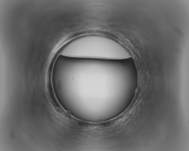 X0000113150344200909040936
