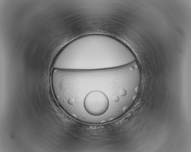 X0000113150345200909040936