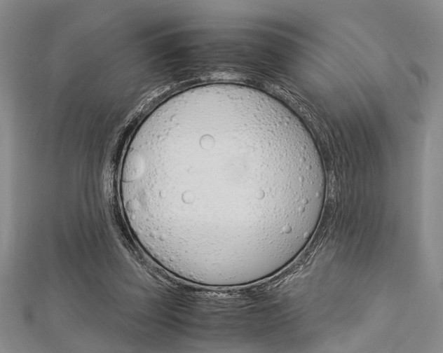 X0000113150347200909040937