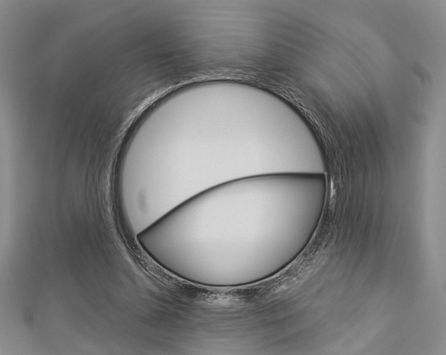 X0000113150348200909040937