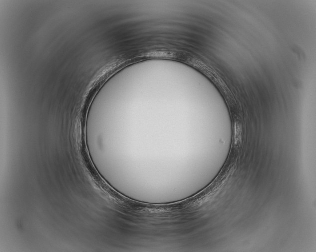 X0000113150349200909040937