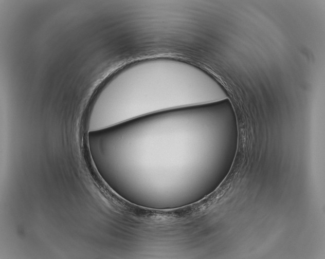 X0000113150350200909040937