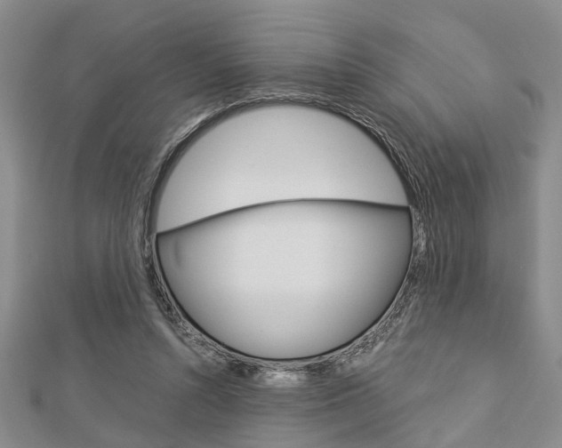 X0000113150352200909040937