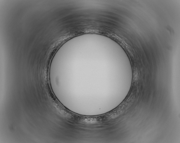 X0000113150353200909040937