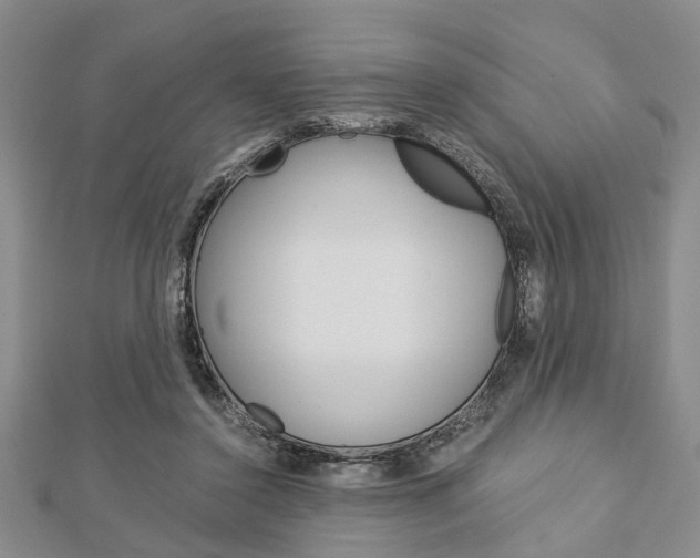 X0000113150356200909040937