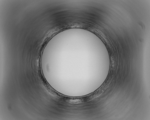 X0000113150357200909040937
