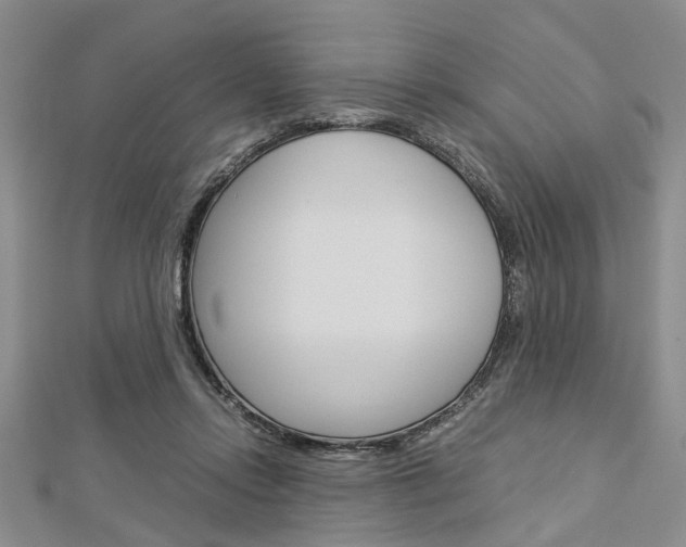 X0000113150358200909040937