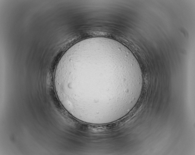 X0000113150359200909040937
