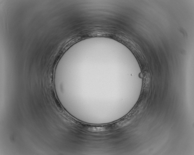 X0000113150361200909040937