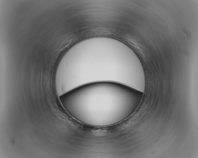 X0000113150362200909040937