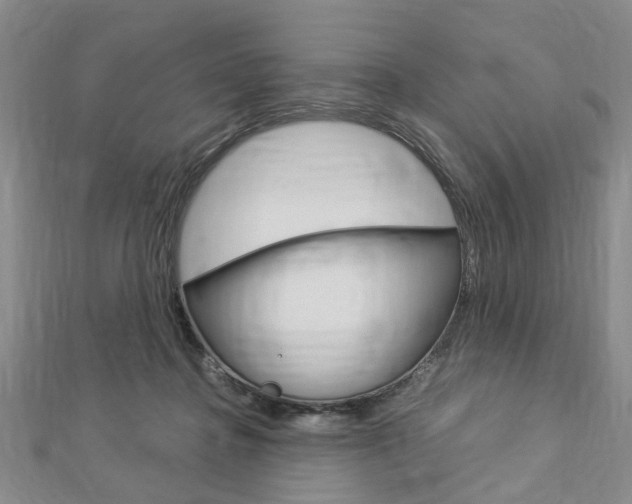 X0000113150364200909040937
