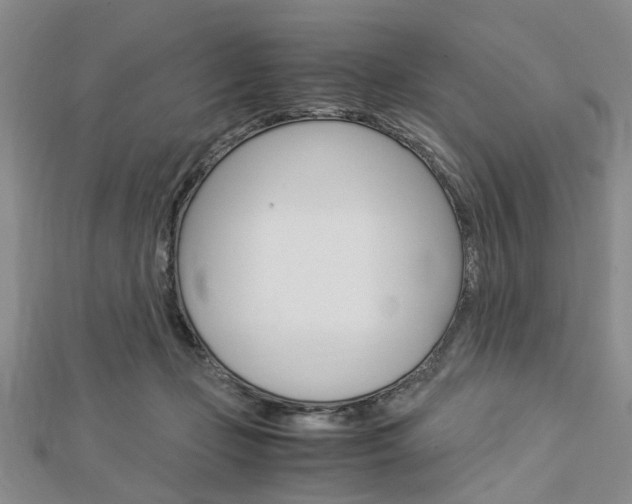 X0000113150365200909040937