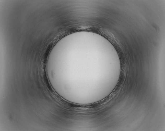 X0000113150366200909040937