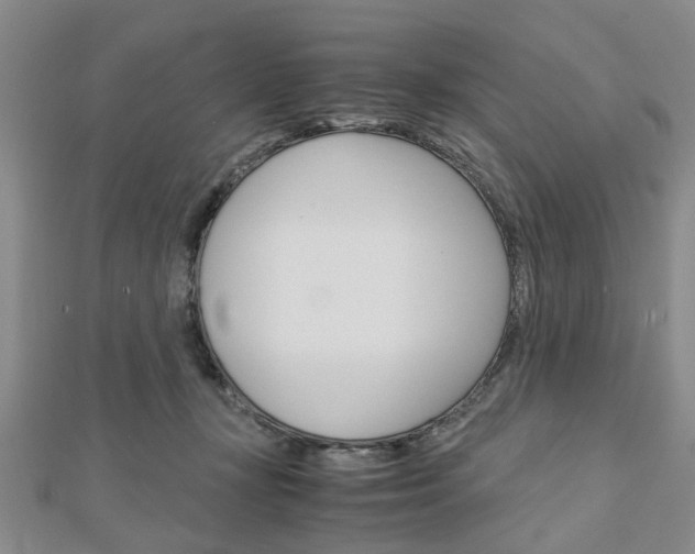X0000113150367200909040937