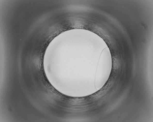 X0000113150370200909040937